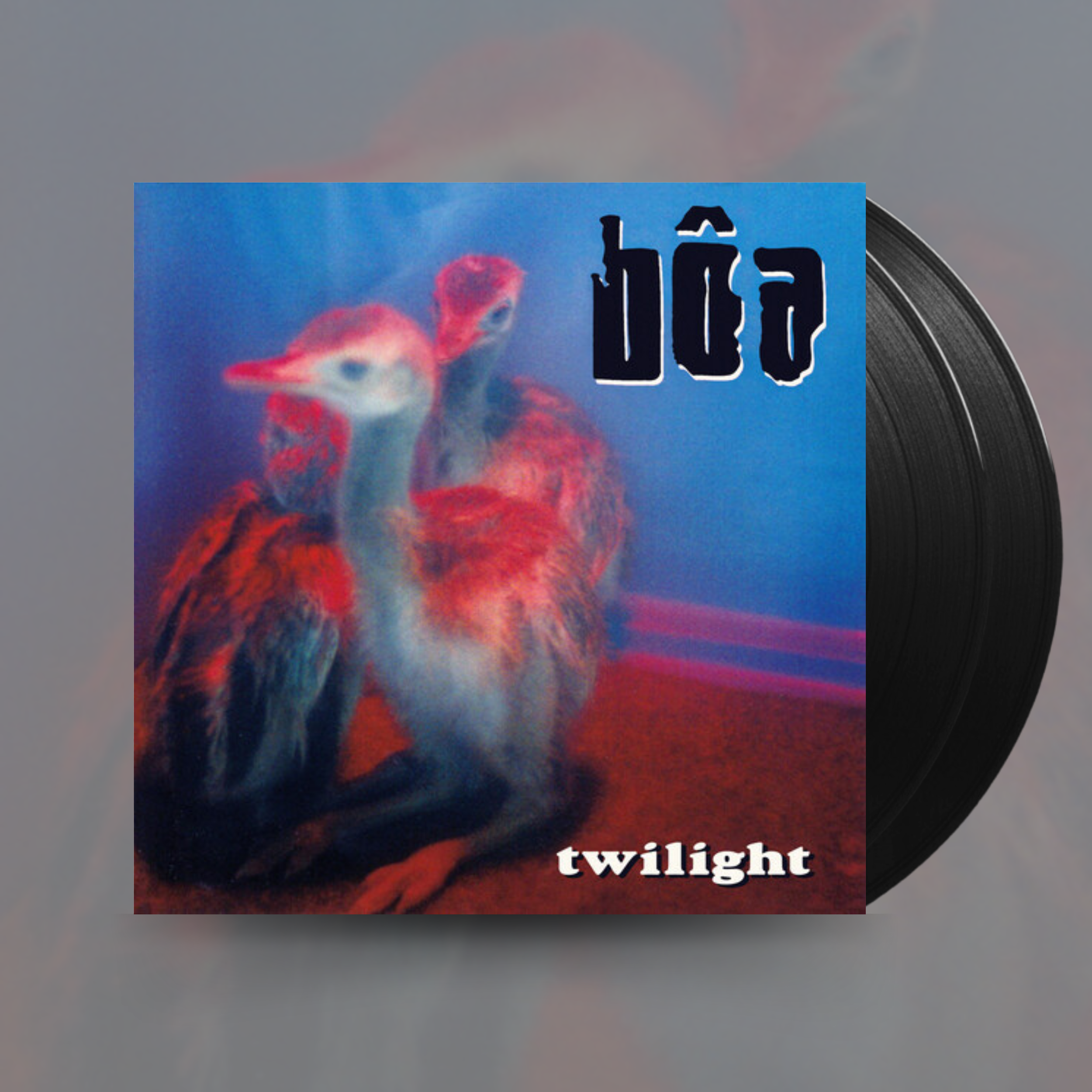 Twilight- Bôa Vinyl LP — Vertigo Vinyl